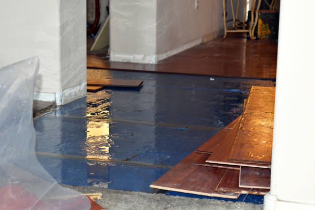 Professional Basement Flooding technician working in Temple, NH
